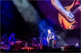 Gilmour 160627 (c) Andreas Mueller 160